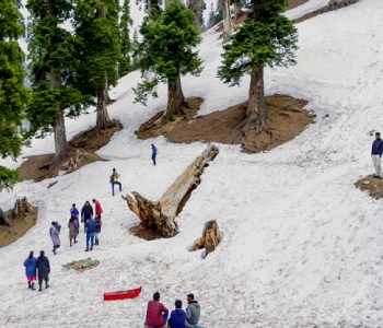 Royal Kashmir Tour Package