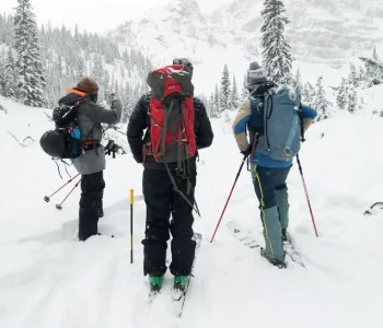 Kashmir Group Tour Package