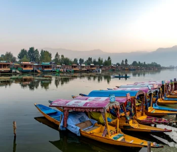 Srinagar Tour with Gulmarg & Pahalgam