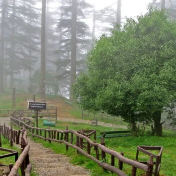 Mussoorie & Dhanaulti Tour Package