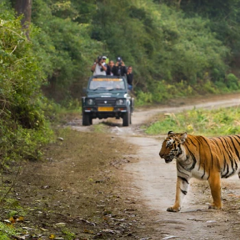 Jim Corbett & Nainital Tour Package