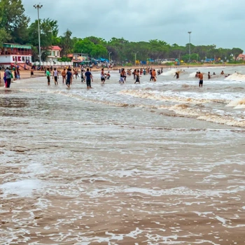 Wildlife & Beach of Gujarat: Gir with Diu Tour