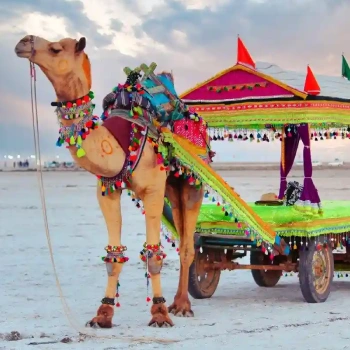 Kutch, Bhuj and Rajkot Tour Package